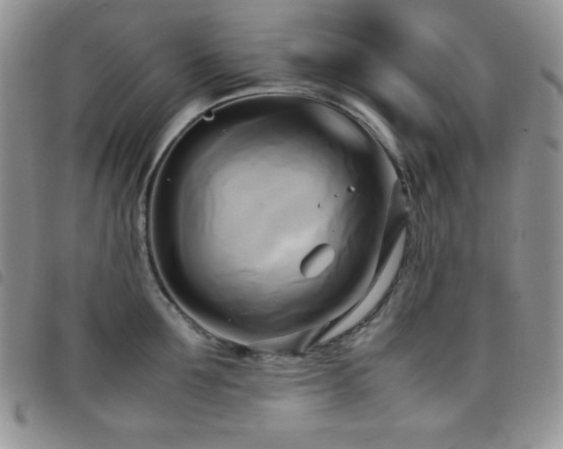 X0000099230907200804241450