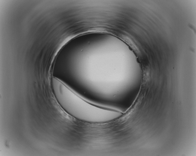X0000099230908200804241450