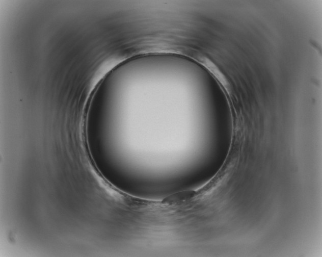 X0000099230909200804241450