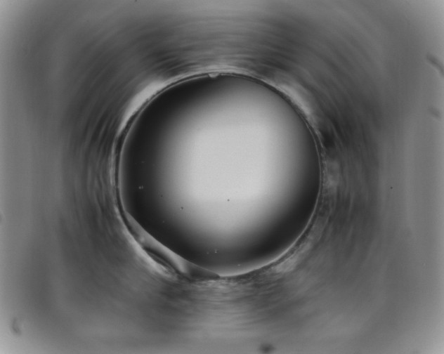 X0000099230910200804241450