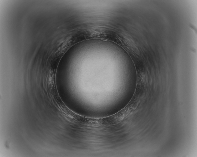 X0000099230914200804241449