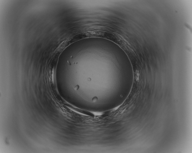 X0000099230915200804241449