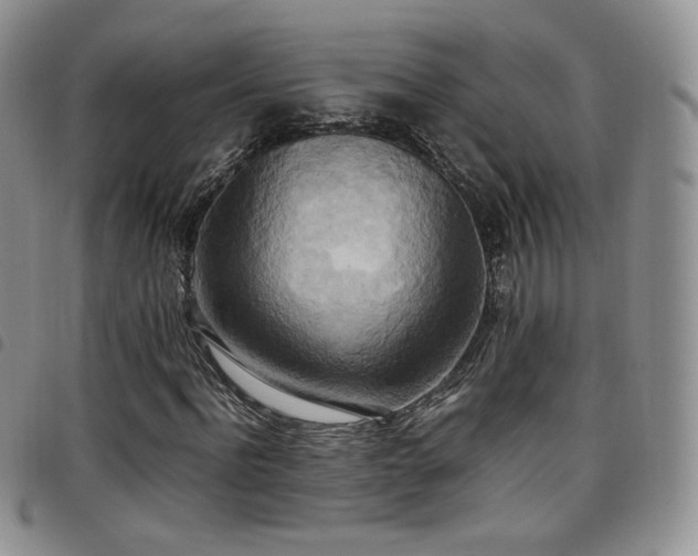 X0000099230916200804241449