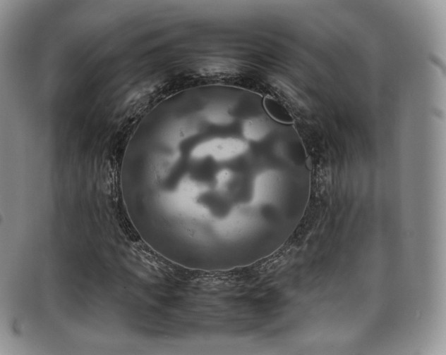 X0000099230917200804241450