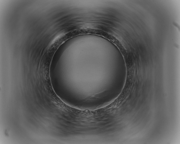 X0000099230919200804241450