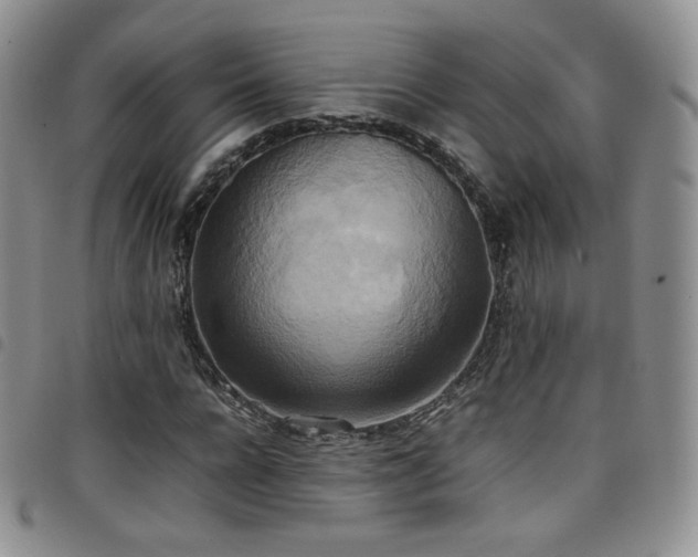 X0000099230920200804241450