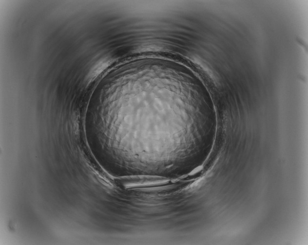 X0000099230921200804241450