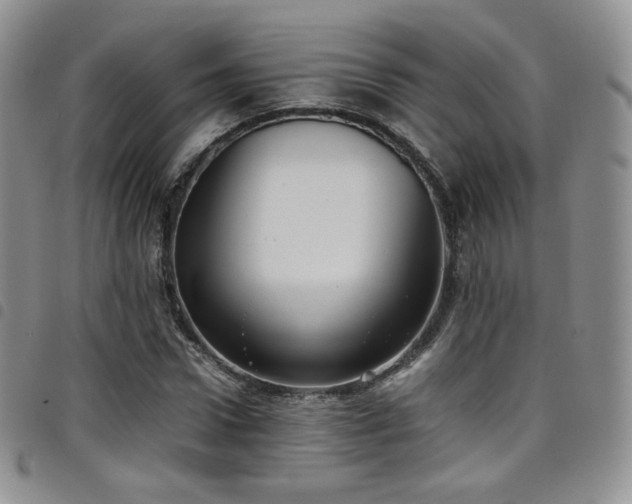 X0000099230922200804241450
