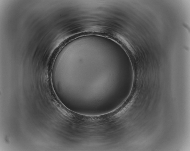 X0000099230923200804241450