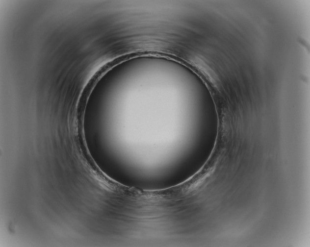 X0000099230924200804241450