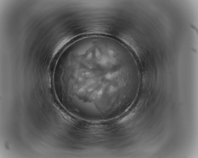 X0000099230925200804241450