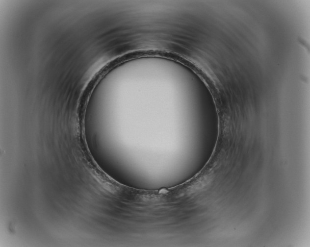 X0000099230927200804241450