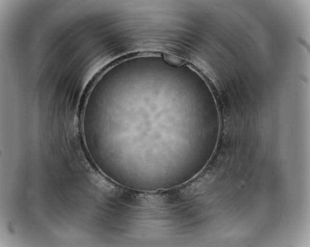 X0000099230928200804241450