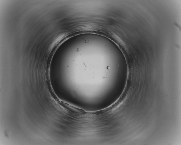 X0000099230930200804241450