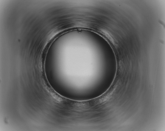 X0000099230931200804241450