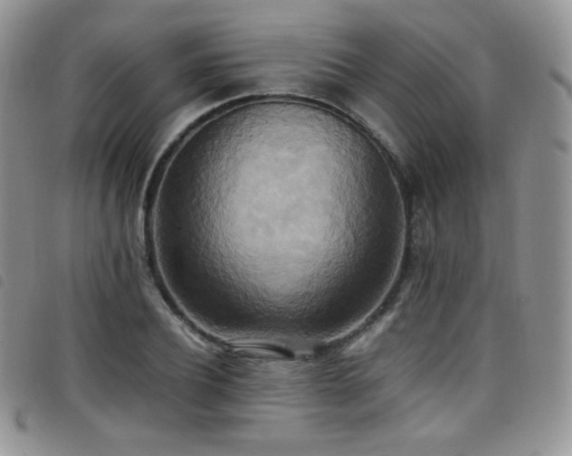 X0000099230932200804241450