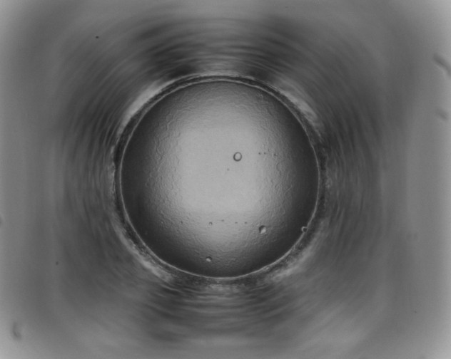 X0000099230933200804241450