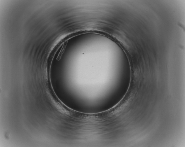 X0000099230934200804241450