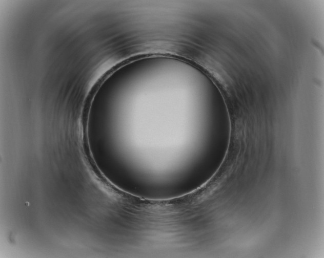X0000099230936200804241450