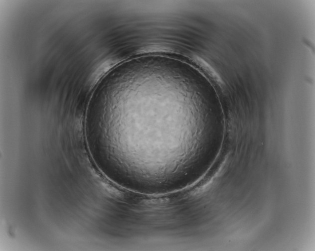 X0000099230937200804241450