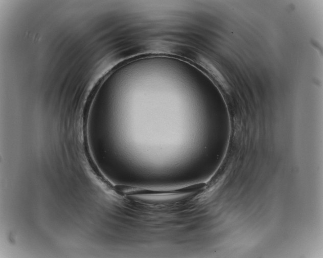 X0000099230939200804241450
