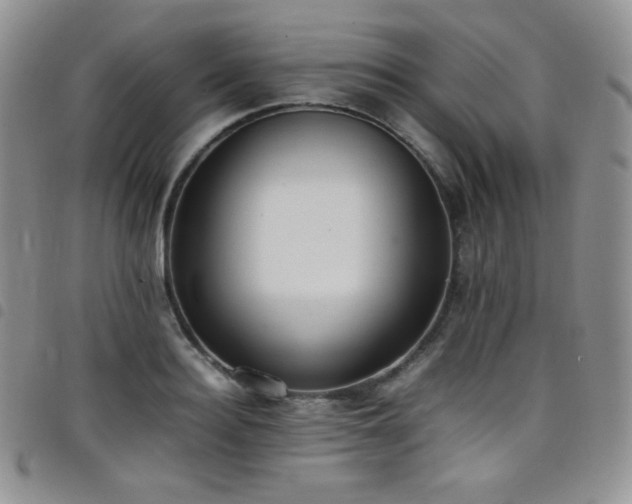 X0000099230940200804241450