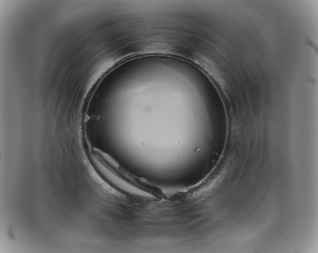 X0000099230941200804241450