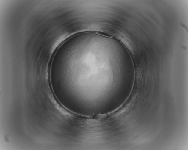 X0000099230944200804241450