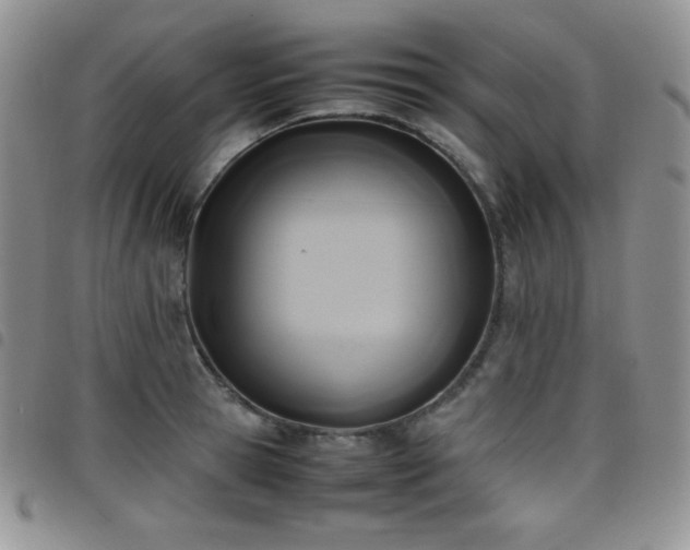 X0000099230945200804241450