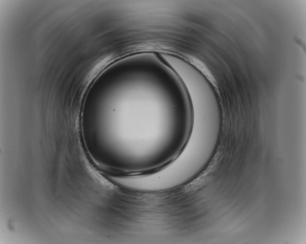 X0000099230946200804241450