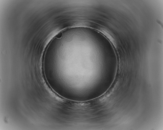X0000099230949200804241450