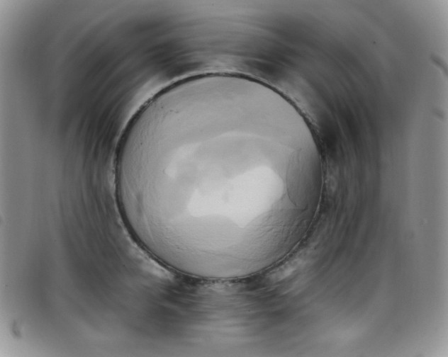 X0000099230950200804241450
