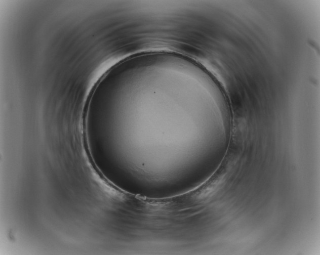 X0000099230951200804241450