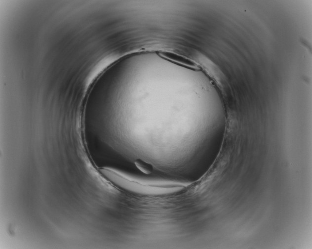 X0000099230952200804241450