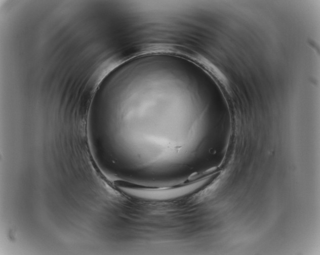 X0000099230953200804241450