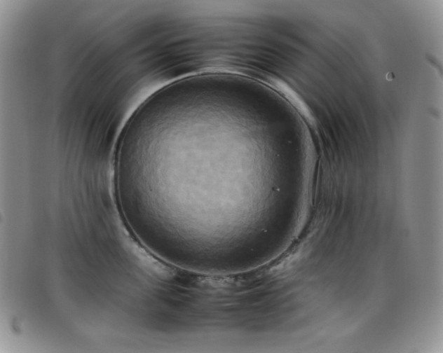 X0000099230955200804241450