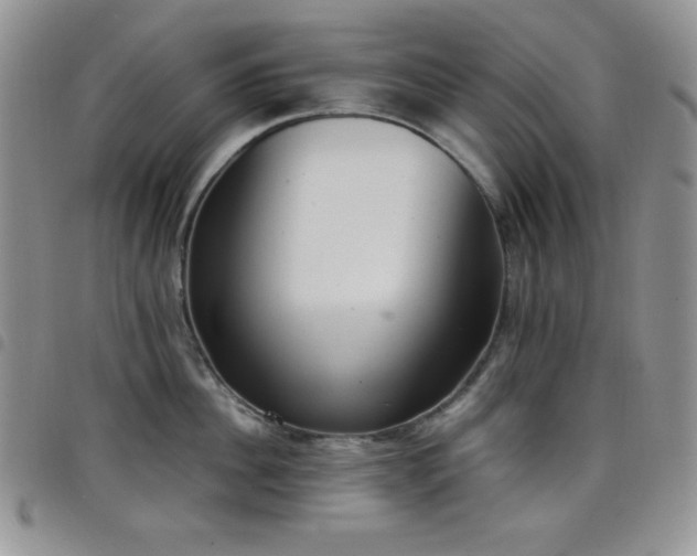 X0000099230956200804241450