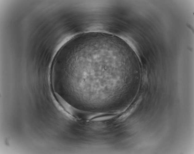 X0000099230957200804241450