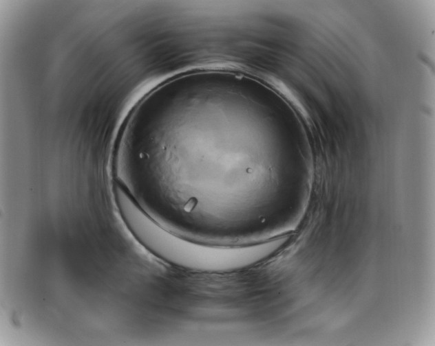 X0000099230959200804241450