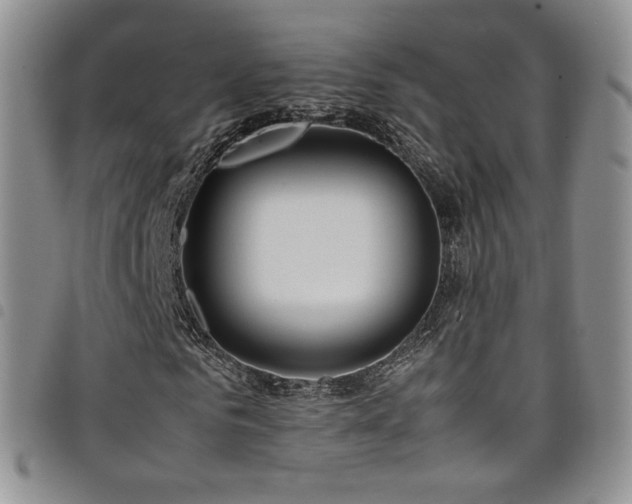 X0000099230961200804241449