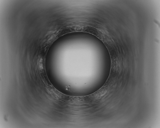 X0000099230962200804241449