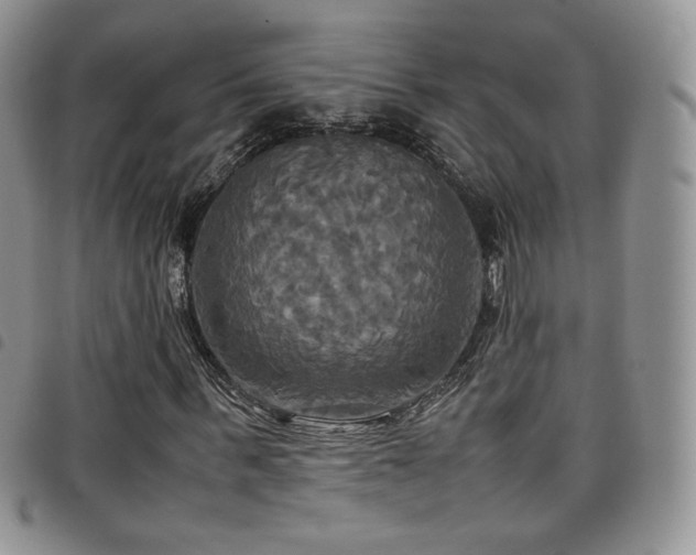 X0000099230963200804241449