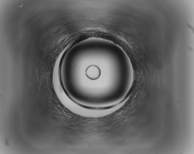 X0000099230965200804241449
