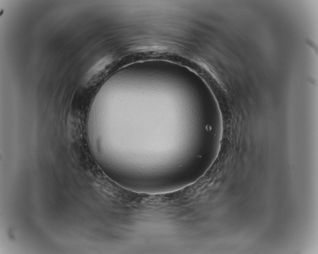 X0000099230967200804241449