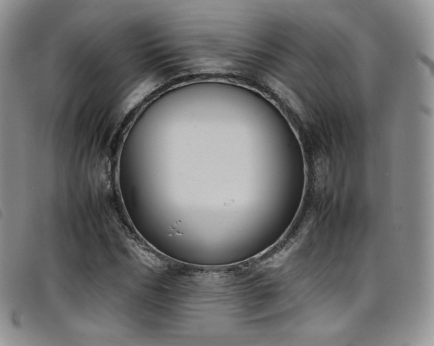 X0000099230970200804241449