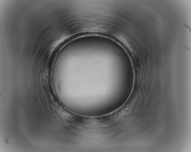 X0000099230971200804241449