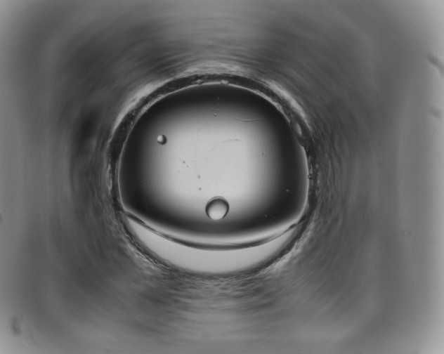 X0000099230973200804241449