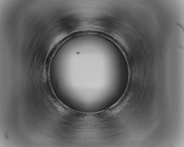 X0000099230974200804241449