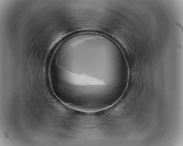 X0000099230975200804241449