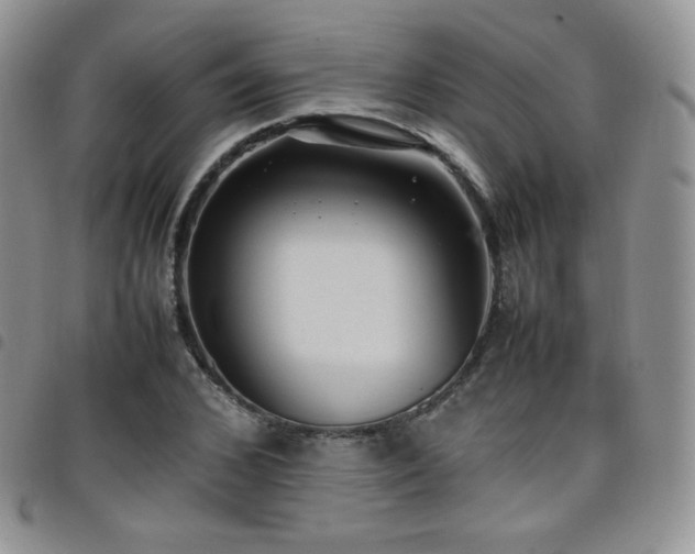 X0000099230976200804241449